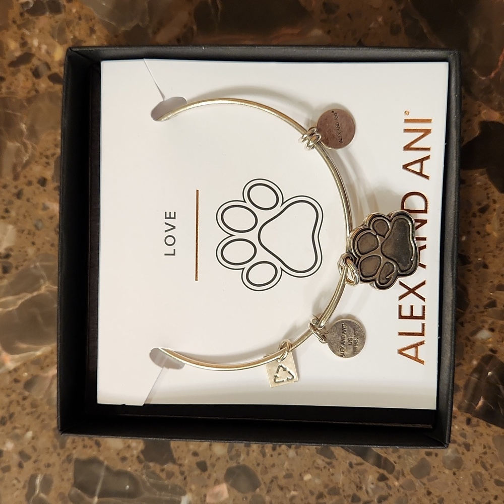 Alex and Ani bracelet